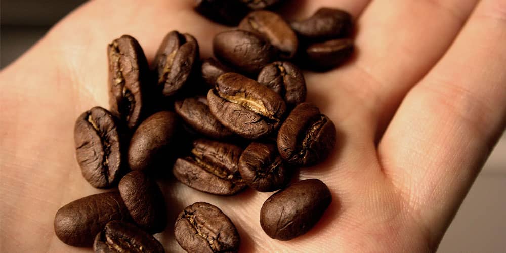 شکل دانه قهوه عربیکا