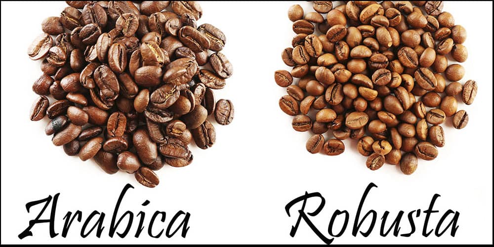 مقایسه دانه قهوه عربیکا با روبوستا
