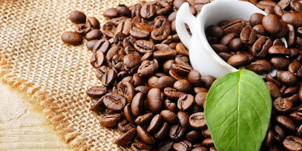 انتخاب قهوه عربیکا