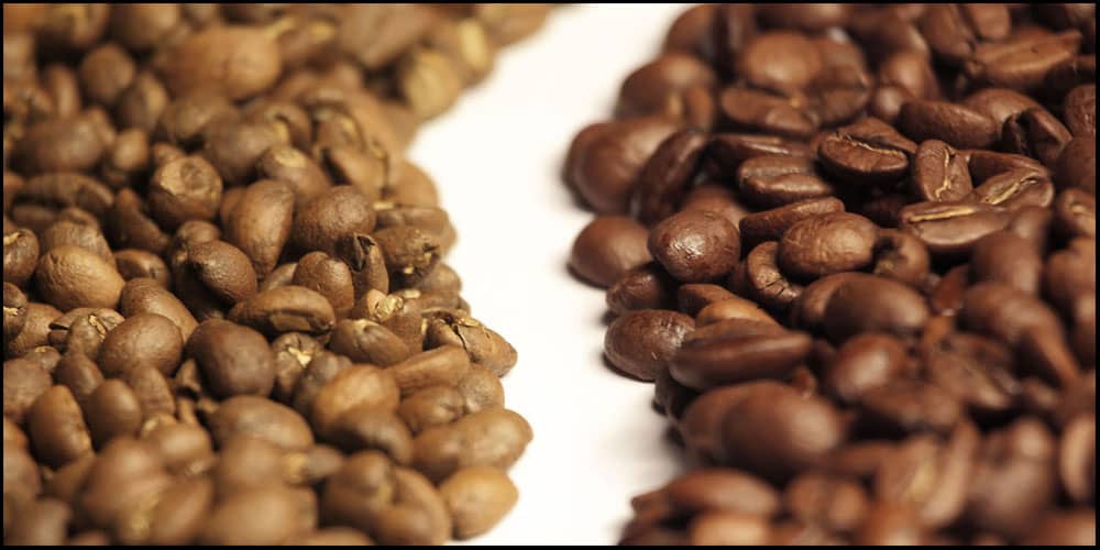 انواع نژاد قهوه